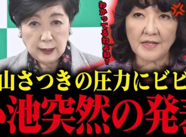 ※片山さつきに追い詰められた小池百合子、都議会でとんでもない発表をする【小池都知事 さとうさおり カイロ大学 学歴詐称疑惑】