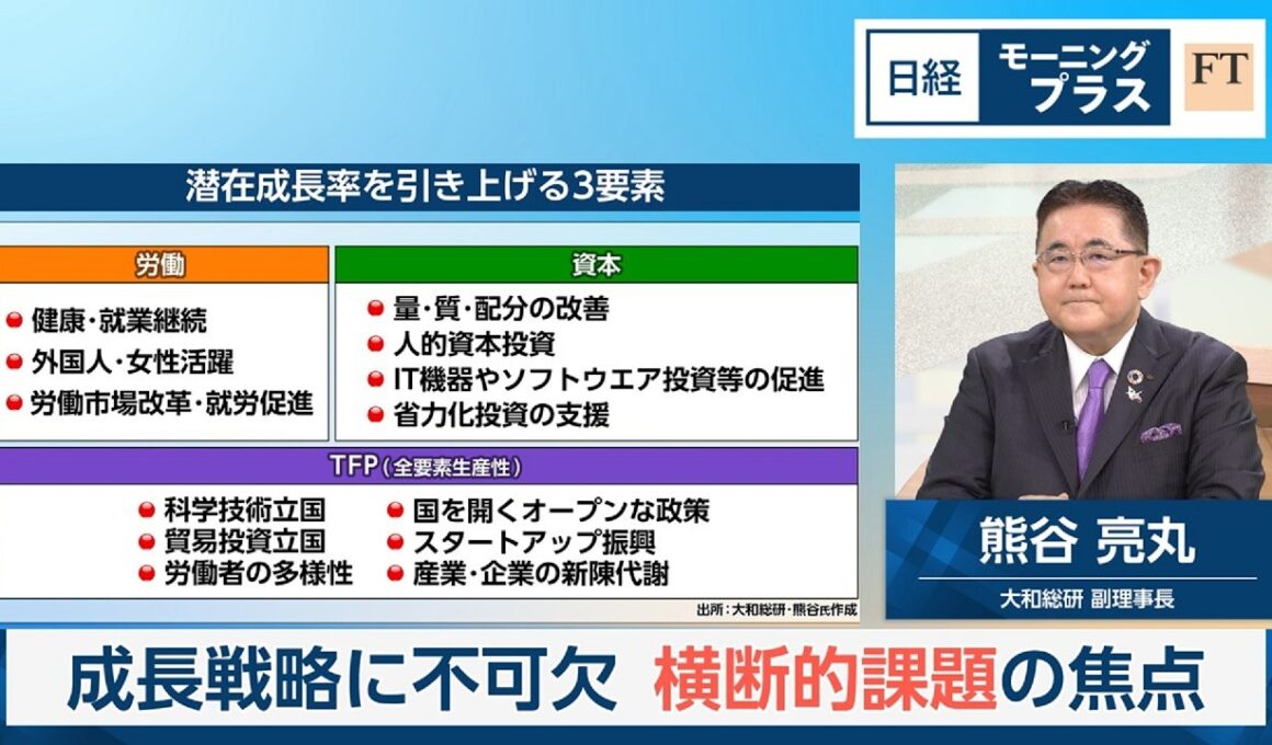 成長戦略に不可欠　横断的課題の焦点【日経モープラFT】