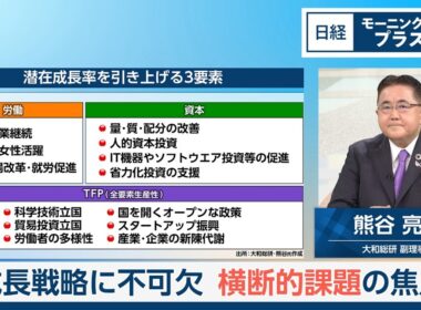成長戦略に不可欠　横断的課題の焦点【日経モープラFT】