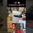 #くまころー飼い主#柴犬＃一日一驚