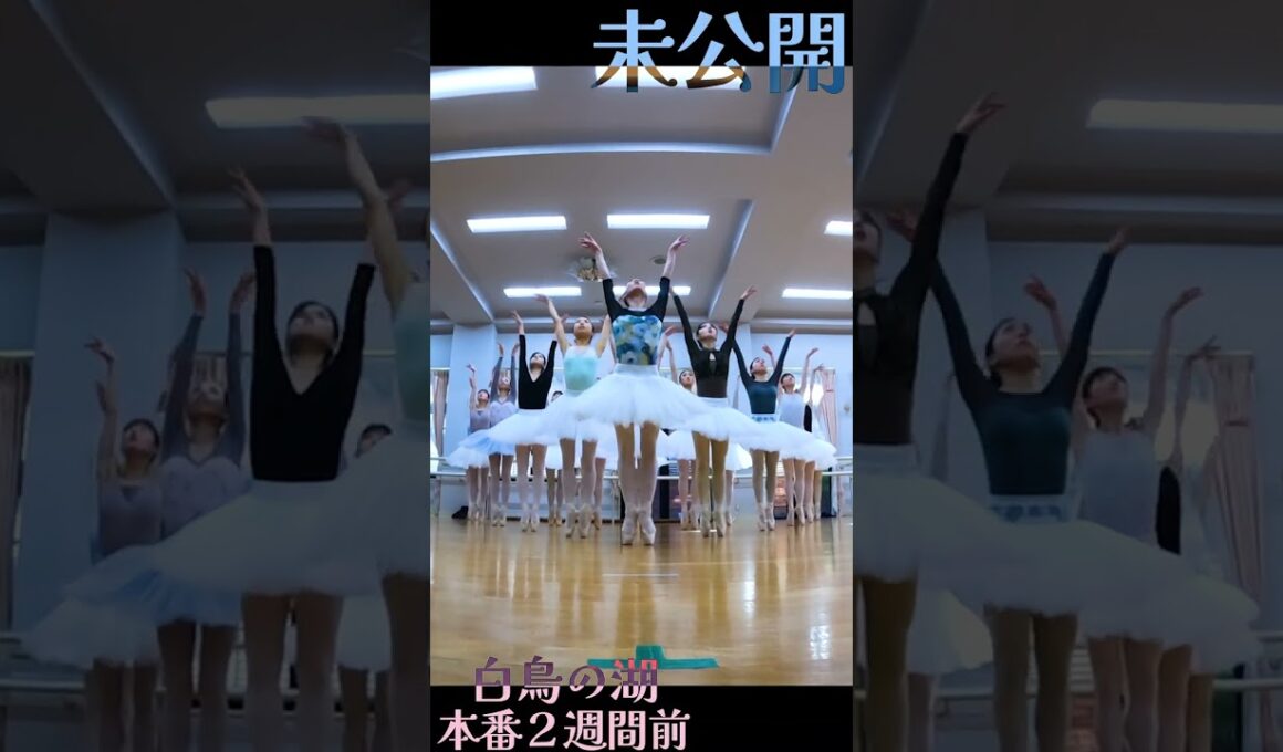白鳥の湖 本番直前④ #shorts #バレエ #ダンス #ballet #dance #swan lake