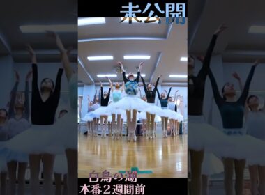 白鳥の湖 本番直前④ #shorts #バレエ #ダンス #ballet #dance #swan lake