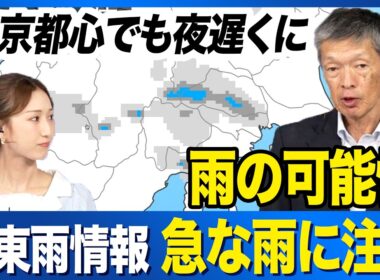 【雨情報】関東は午後からの急な雨に注意 東京都心も夜遅くに雨の可能性