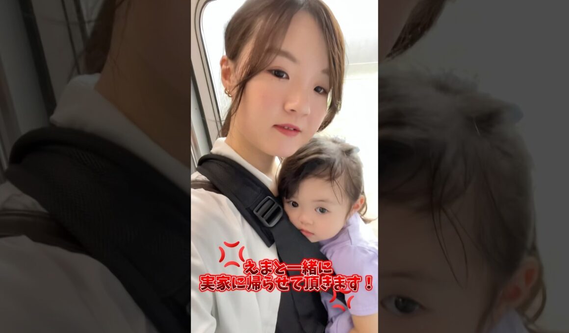 限界です、実家に帰らせて頂きます#一夫多妻 #第一夫人 #あかちゃんのいる生活 #渡部竜太