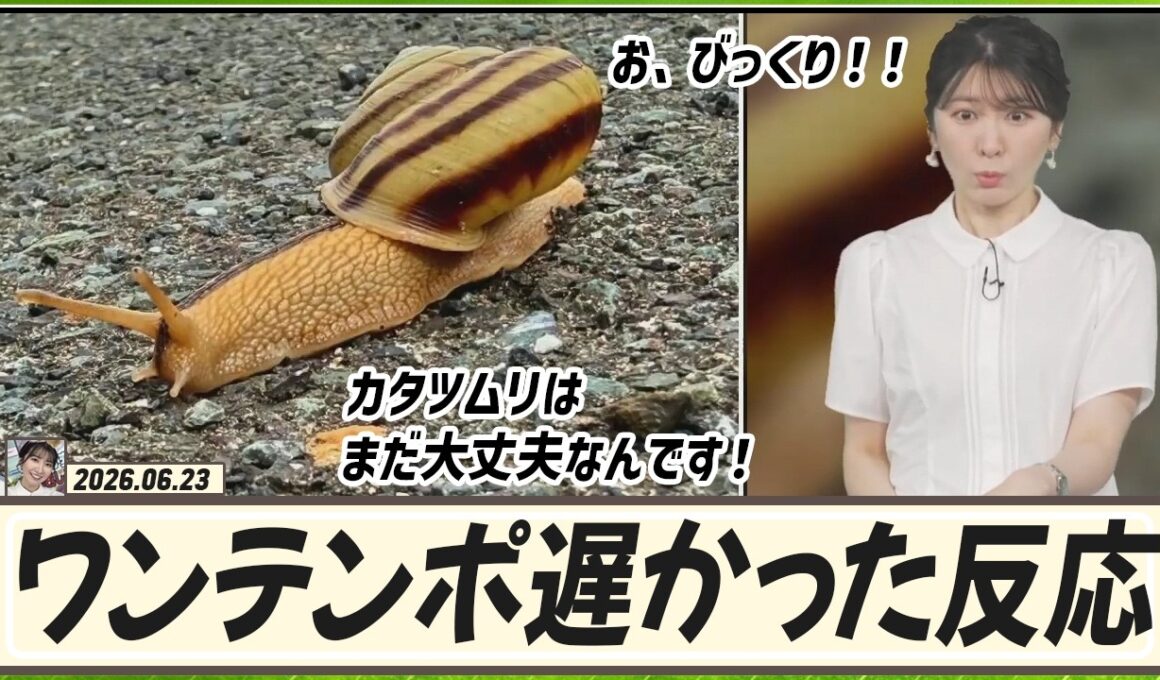 【駒木結衣】 お、びっくり！ワンテンポ遅かった結衣ちゃんの反応速度。🐨「カタツムリはまだ大丈夫なんです！」🐌