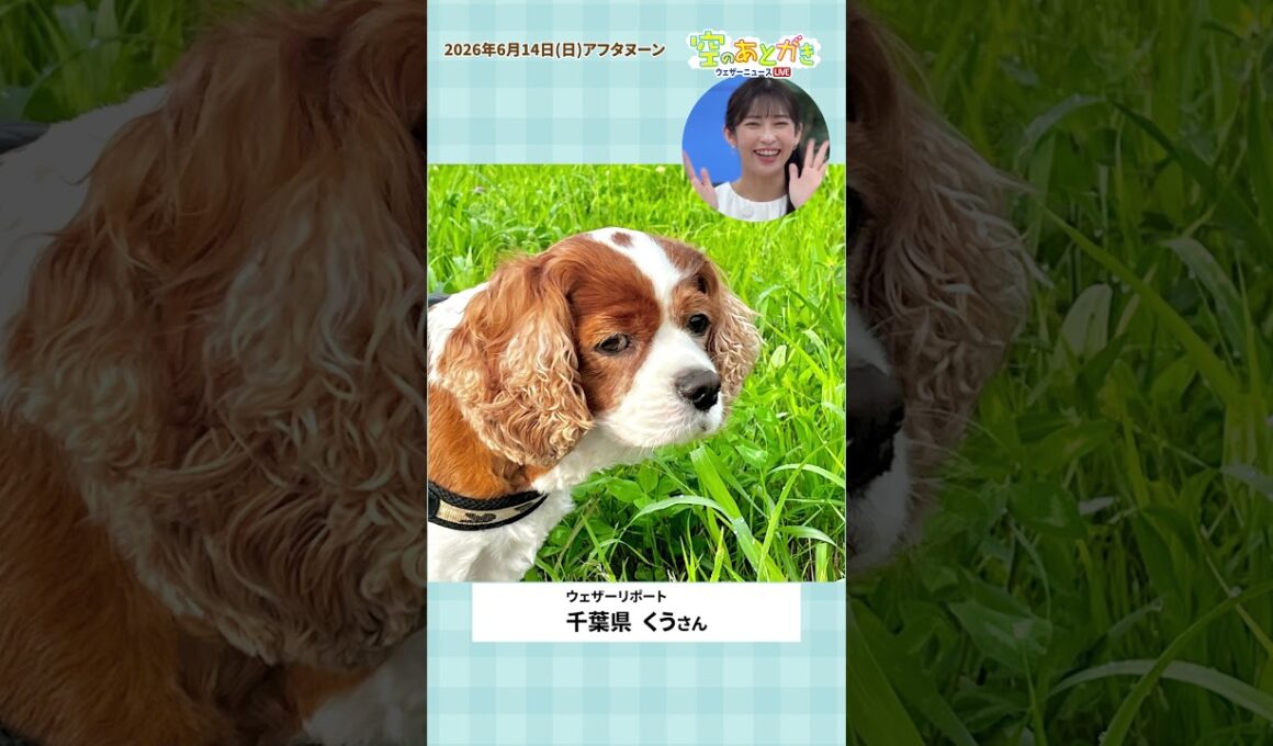 【空のあとがき】山岸キャスターが気になったリポートは？6月14日 #通勤タイパ #山岸愛梨