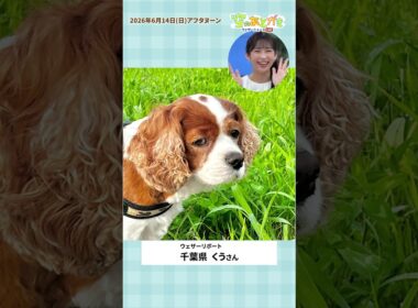 【空のあとがき】山岸キャスターが気になったリポートは？6月14日 #通勤タイパ #山岸愛梨