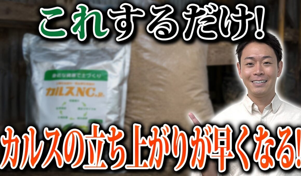 カルスNC-Rと米ぬかは事前に混ぜてもいい？失敗しない土中堆肥化のコツをプロが解説！【家庭菜園 土づくり ガーデニング カルスNC-R】