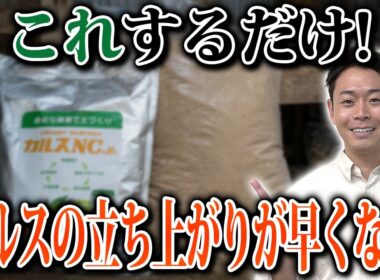 カルスNC-Rと米ぬかは事前に混ぜてもいい？失敗しない土中堆肥化のコツをプロが解説！【家庭菜園 土づくり ガーデニング カルスNC-R】