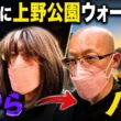 【孤独の飼い主】    夜中の私と朝の私、別人すぎる件
