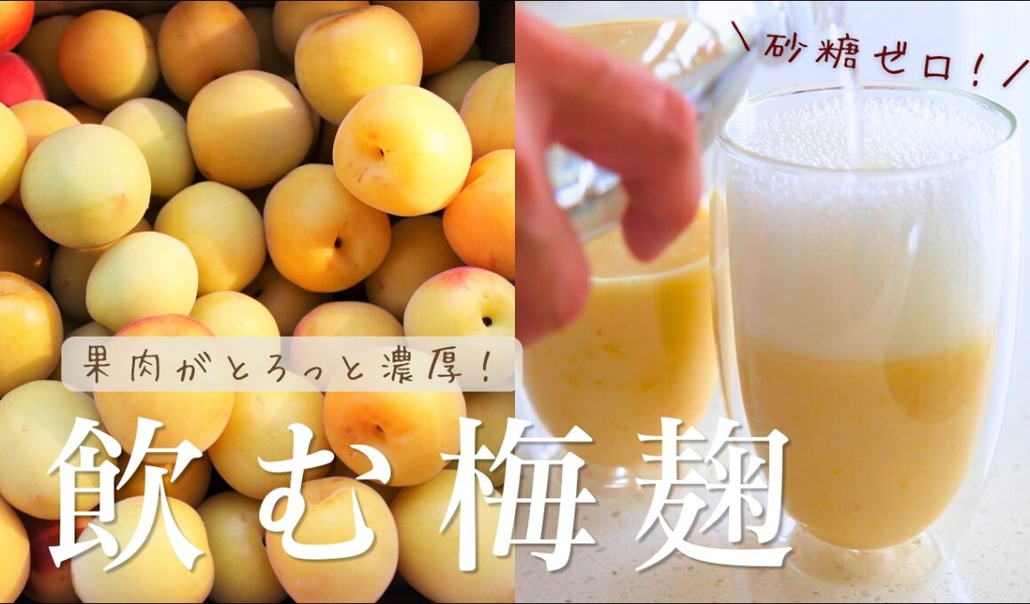 【砂糖不使用】普通の梅シロップには戻れない！梅麹ネクターの作り方&梅アイス