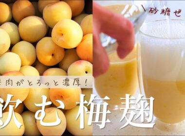 【砂糖不使用】普通の梅シロップには戻れない！梅麹ネクターの作り方&梅アイス