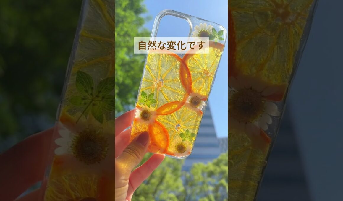【腐らないんですか？にお答えします！】#ハンドメイド #ハンドメイド作家 #レジン #レジン作家 #押し花 #押しフルーツ