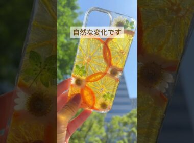 【腐らないんですか？にお答えします！】#ハンドメイド #ハンドメイド作家 #レジン #レジン作家 #押し花 #押しフルーツ