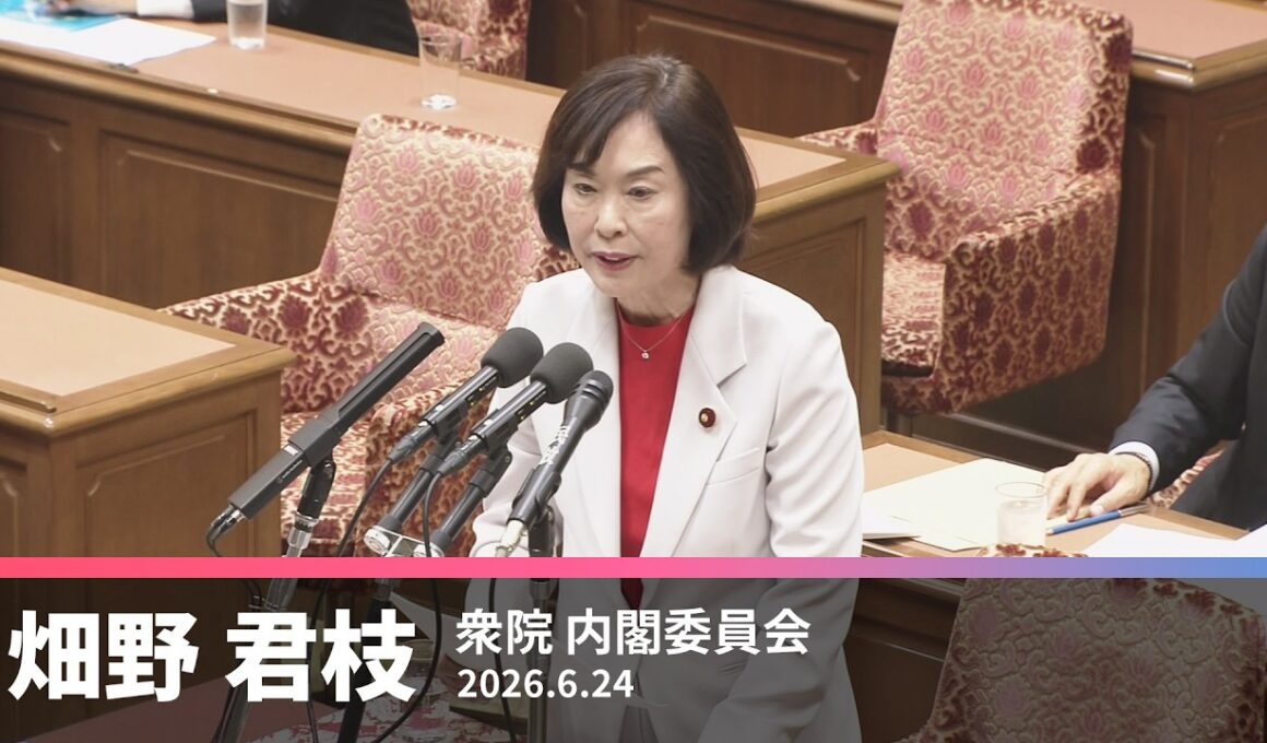 【畑野君枝】国旗損壊処罰法の問題点について　2026.6.24【国会質問】