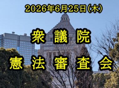【国会中継】衆議院 憲法審査会（2026/06/25）