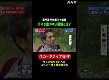 【専門家が解説】多摩川でクマが出やすい環境とは【クロ現】| NHK | #shorts