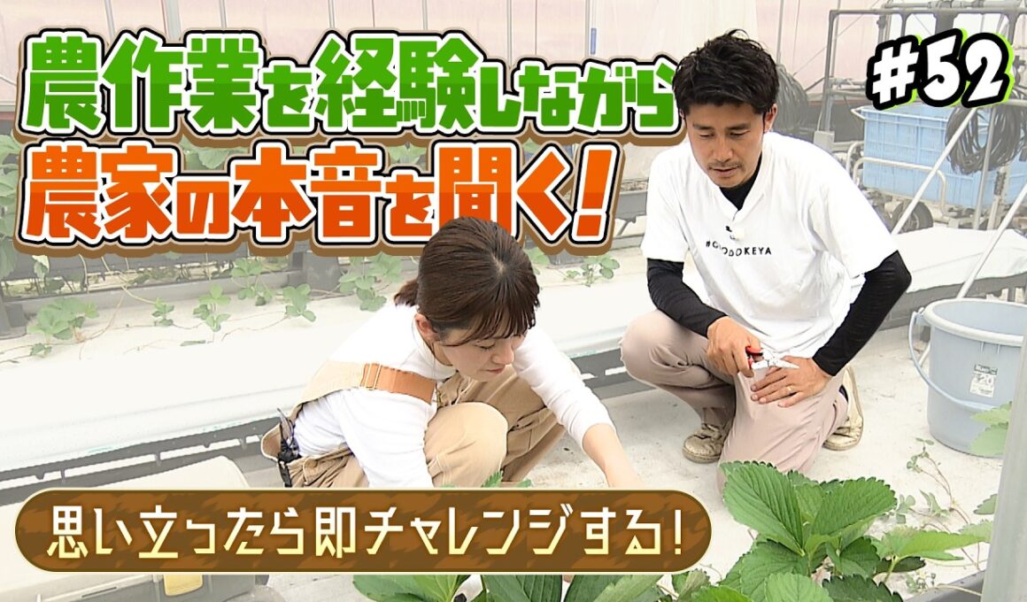 農作業を経験しながら農家の本音を聞く！～思い立ったら即チャレンジする～