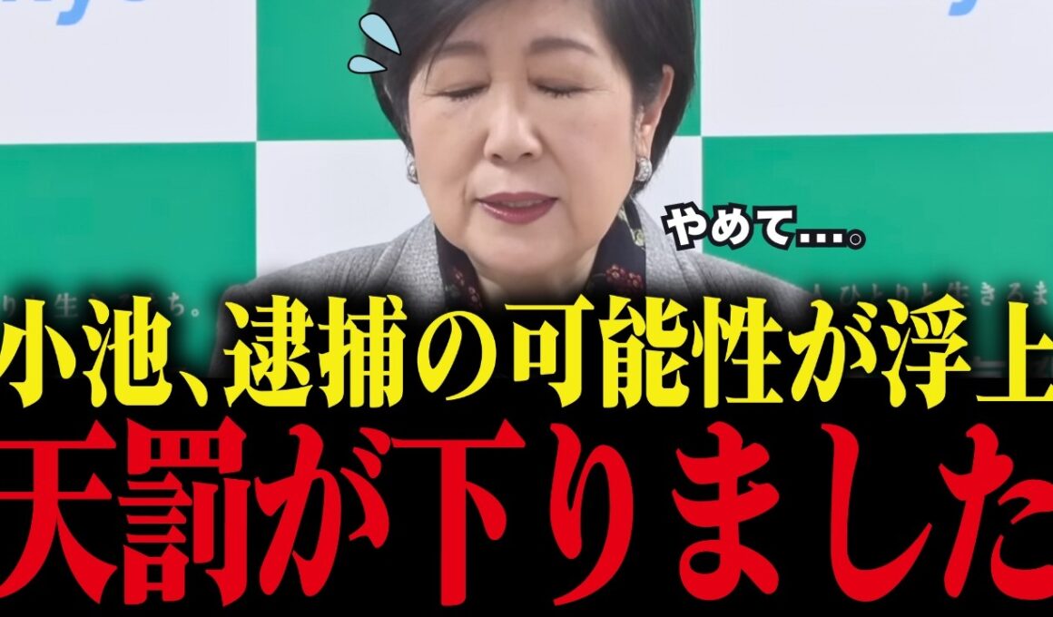 【小池百合子】※小池都知事に逮捕の可能性が出てきました...刑事告発の内容を元検事が解説【小池都知事 さとうさおり カイロ大学 学歴詐称疑惑】
