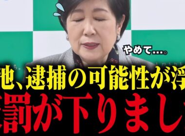 【小池百合子】※小池都知事に逮捕の可能性が出てきました...刑事告発の内容を元検事が解説【小池都知事 さとうさおり カイロ大学 学歴詐称疑惑】