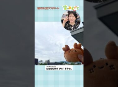 【空のあとがき】白井キャスターが気になったリポートは？6月22日 #通勤タイパ #白井ゆかり