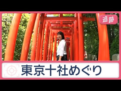 一日で10社巡れる？東京の神社巡礼旅　意外と知らない神社の魅力満載【Jの追跡】【スーパーJチャンネル】(2026年6月27日)