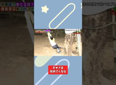 58 田中瞳ライン