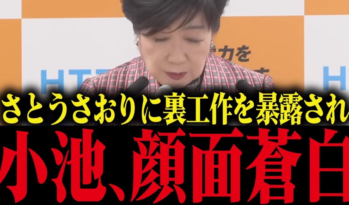 【小池百合子】※さとうさおりに新人議員を潰す裏工作を暴露され、小池顔面蒼白…【小池都知事 小池百合子 カイロ大学学歴詐称疑惑 都議会】