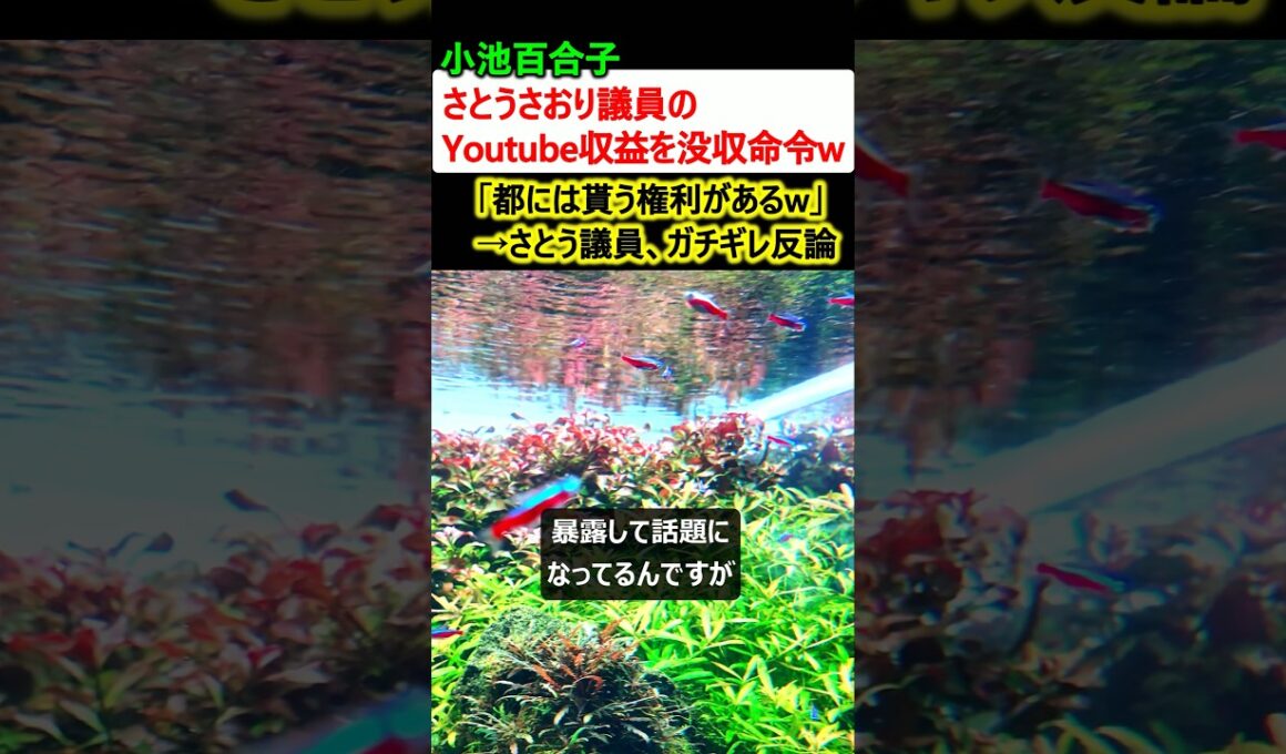 小池百合子、さとうさおり議員のYoutube収益没収を命令w