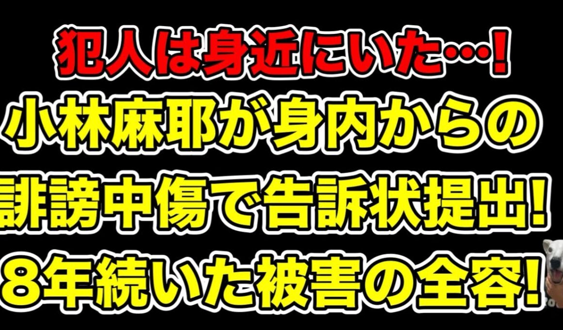 小林麻耶が誹謗中傷で身内を告訴!8年続いた被害の実態＆動機とは…?