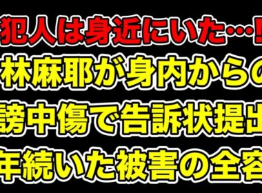 小林麻耶が誹謗中傷で身内を告訴!8年続いた被害の実態＆動機とは…?