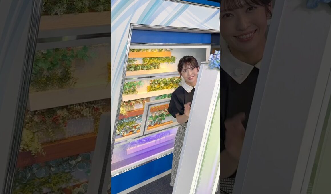 おはよう！6月25日 10:00  #通勤タイパ #おはよう
