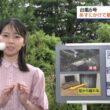 【画像】今日の晴山紋音さん 6.2