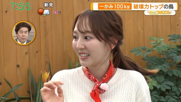 【画像】今日の佐々木若葉さん　7.3