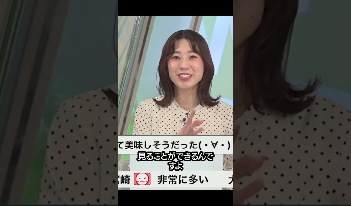 【高山奈々】長岡ロケの裏話と味噌好きお父さんの話 #shorts 〈WeatherNewsLive〉2023.2.25coffeetime