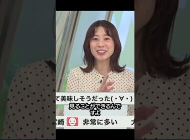 【高山奈々】長岡ロケの裏話と味噌好きお父さんの話 #shorts 〈WeatherNewsLive〉2023.2.25coffeetime