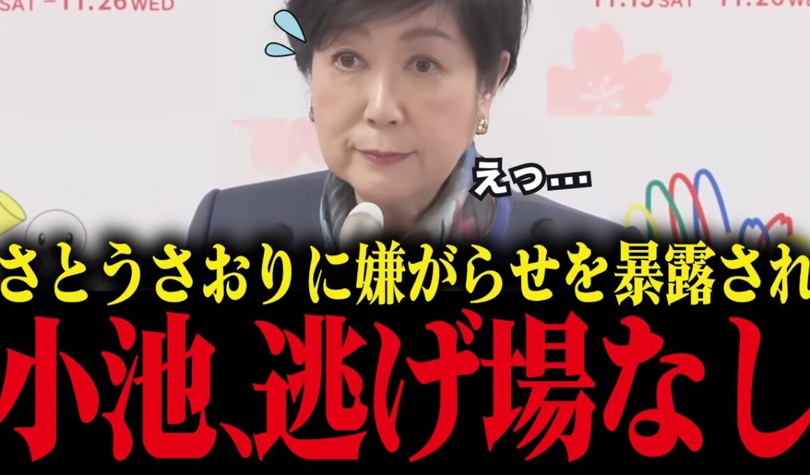 【小池百合子】さとうさおりに過去の嫌がらせを暴露され、小池大慌て！【小池都知事 都議会 カイロ大学 学歴詐称疑惑】