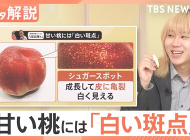 「桃」をおいしく楽しむヒント！面倒な“皮むき”はこすって簡単・キレイに♪ 食べ頃や甘さの目印は？【Nスタ解説】｜TBS NEWS DIG