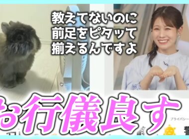 兎と猫との暮らしを夢見るも今は愛兎に溺愛なお天気お姉さん【戸北美月 ウェザーニュース切り抜き】