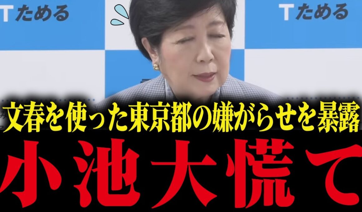 【小池百合子】さとうさおりが東京都と文春の関係を暴露！小池大焦り【小池都知事 都議会 カイロ大学 学歴詐称疑惑】