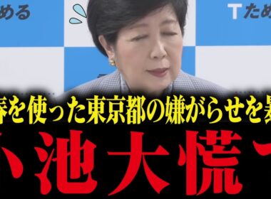 【小池百合子】さとうさおりが東京都と文春の関係を暴露！小池大焦り【小池都知事 都議会 カイロ大学 学歴詐称疑惑】