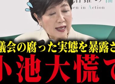 【小池百合子】さとうさおりが小池都政の腐った議会を暴露！カラクリがバレて小池大慌て