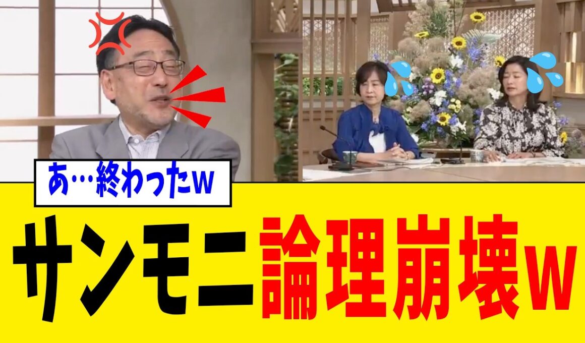 【緊急】TBS・サンデーモーニングさん、国旗損壊罪に噛みついた直後“番組が避けた部分”がバレてしまうwww