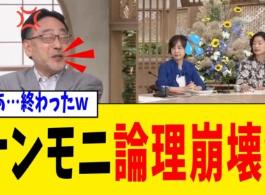 【緊急】TBS・サンデーモーニングさん、国旗損壊罪に噛みついた直後“番組が避けた部分”がバレてしまうwww