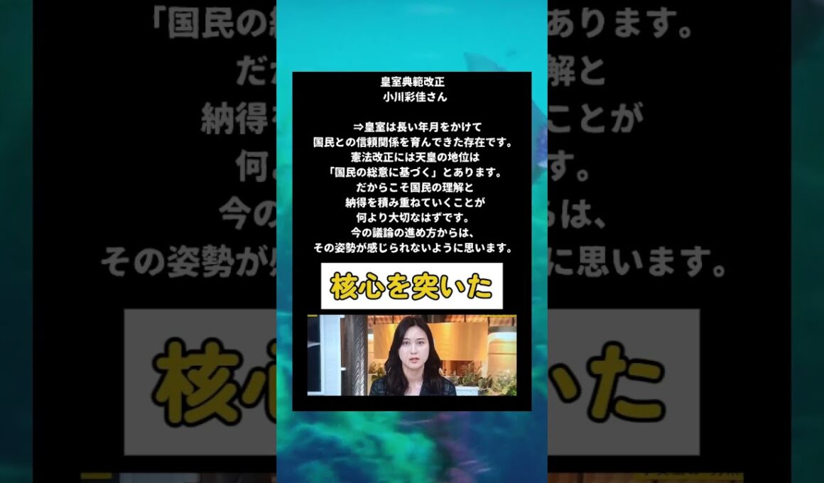 #政治 #皇室典範改正 #小川彩佳