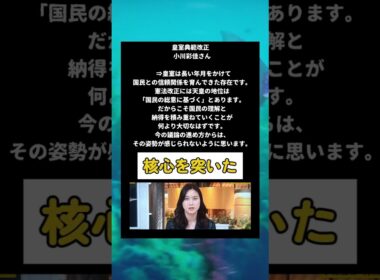 #政治 #皇室典範改正 #小川彩佳