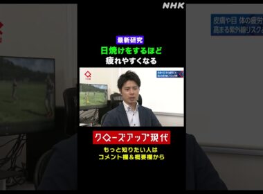 【最新研究】紫外線を浴び日焼けをすると疲れやすくなる！【クロ現】| NHK | #shorts