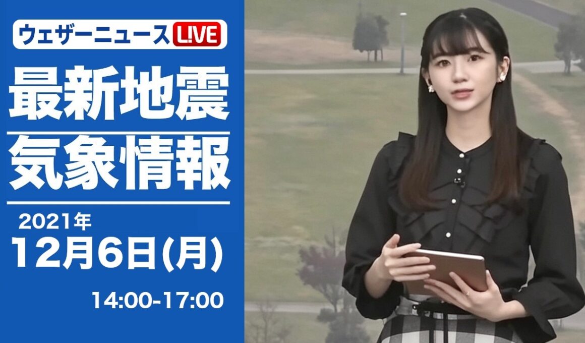 🦔のんちゃん #004　2021年12月6日アフターヌーン