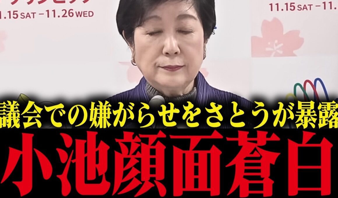 【小池百合子】さとうさおりが小池都政による議会での嫌がらせを暴露！小池大慌て【小池都知事 都議会 カイロ大学 学歴詐称疑惑】