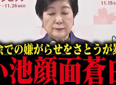 【小池百合子】さとうさおりが小池都政による議会での嫌がらせを暴露！小池大慌て【小池都知事 都議会 カイロ大学 学歴詐称疑惑】